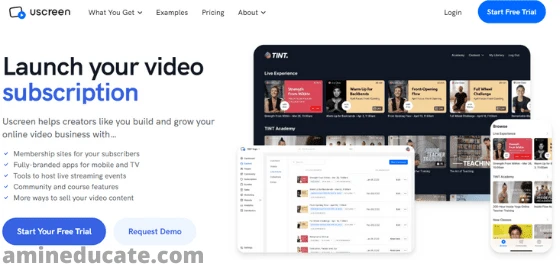 Best Video Hosting Services For Business