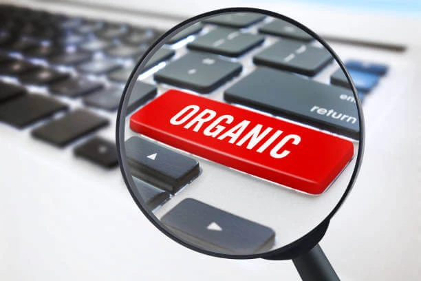 What is Organic Search (Paid vs Organic Search Results)