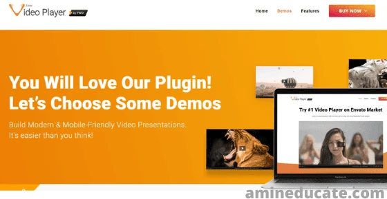 Best Wordpress Video Plugins