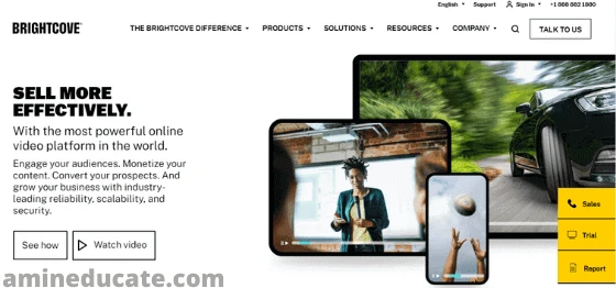 Best Video Hosting Services For Business