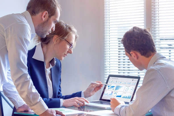 SEO Services Primelis (Best SEO Company Primelis)